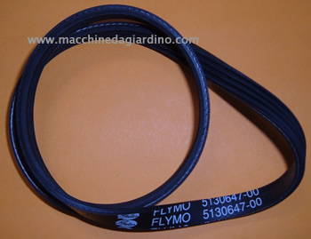 Cinghia trasmissione lama Roller compact Flymo - Clicca l'immagine per chiudere